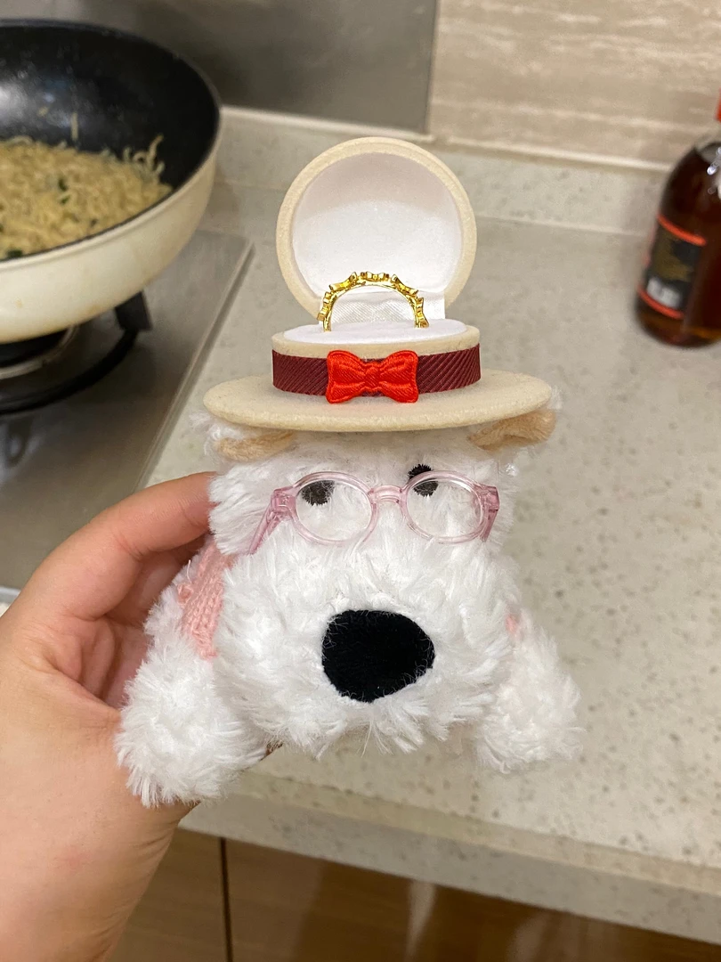 【零零和猫】创意文艺风西高地小熊毛绒公仔戒指盒可爱卡通摆