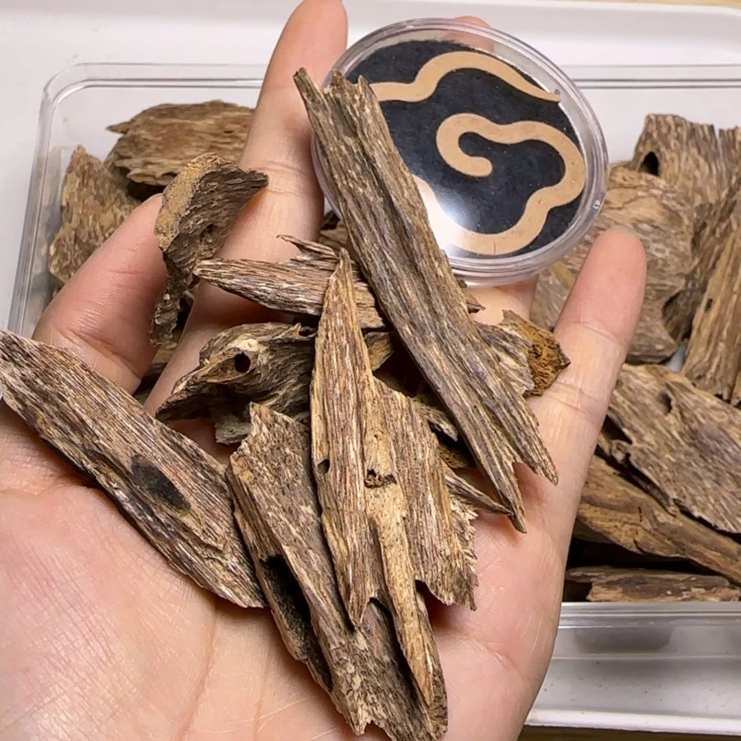 我***转海南虫漏碎料10克