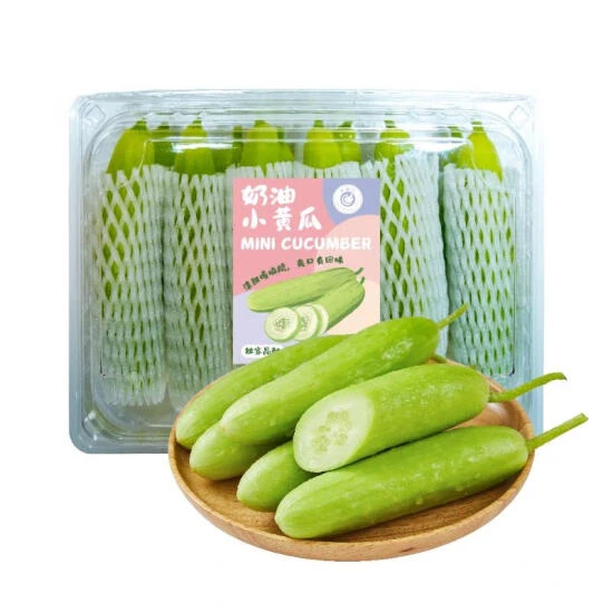 奶油小黄瓜 850g黄瓜同城送黄瓜同城配