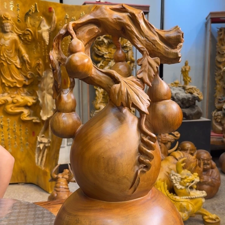 香樟木情****华长35厘米高75