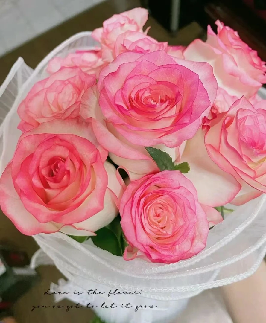 【艾莎】玫瑰 同一地址任意两单加配草一扎