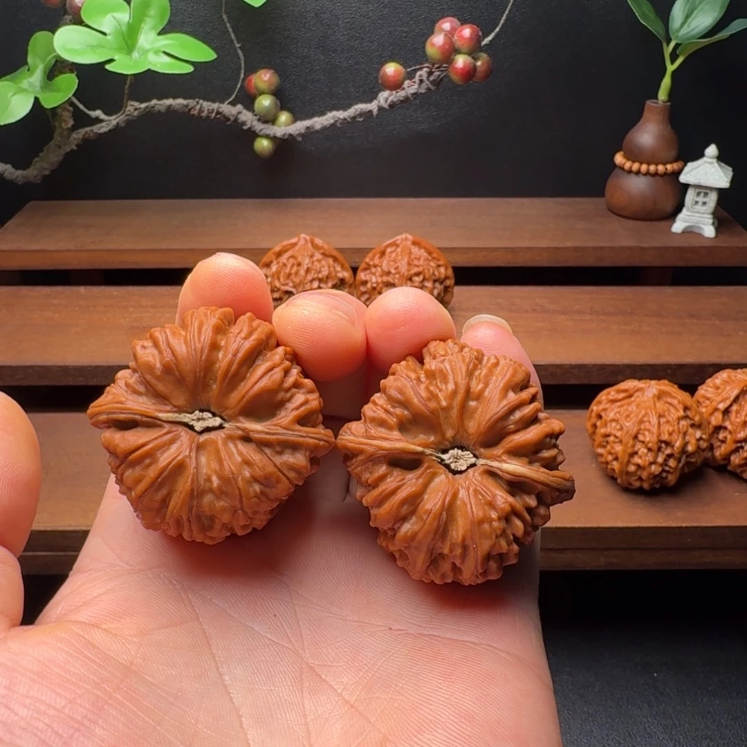 手串/手链核桃40+全品回血凹底