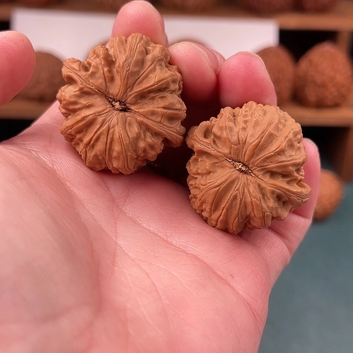 把件文玩核桃34/35尺山地三角白狮子