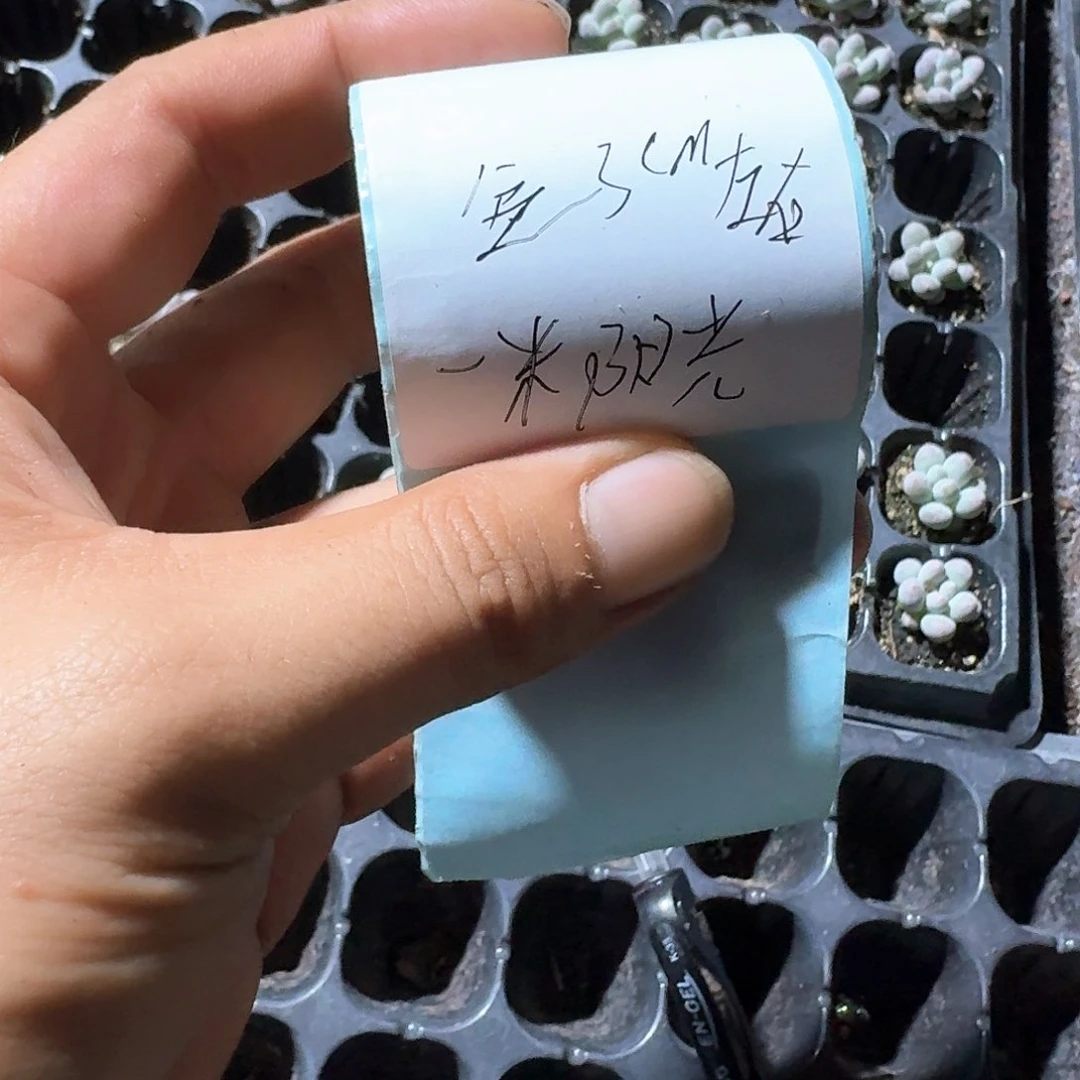 一米阳光一物一拍专拍