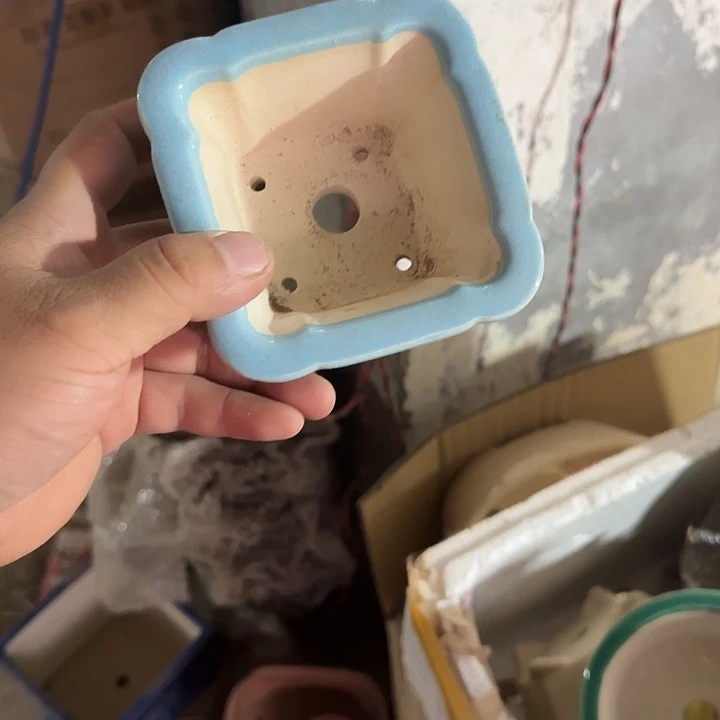 这一期太有意思咯太棒的