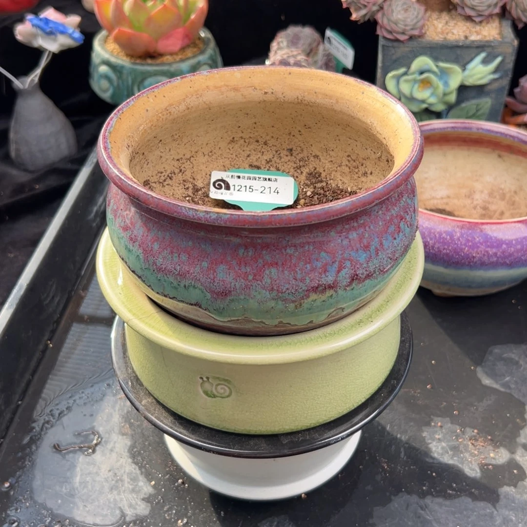 鹰***侠从前慢花园多肉编号1215-214三个盆