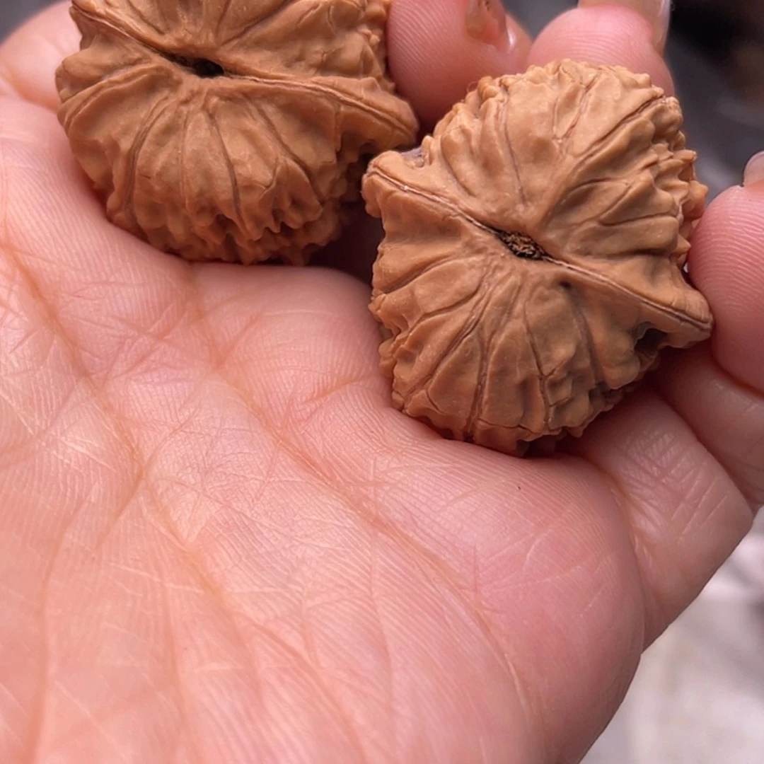 【闪购商品】?****棋核桃核桃核桃核桃核桃