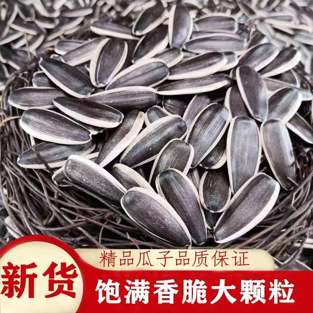 【买一斤送一斤到手二斤】原味炒熟葵花籽大颗粒新鲜酥脆追剧零食