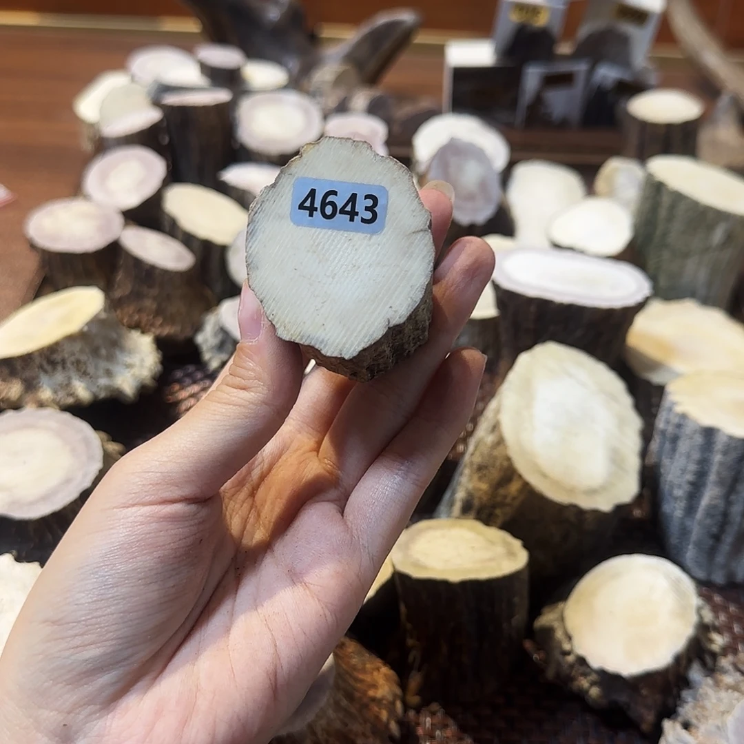 鹿骨手串/手链4643根段