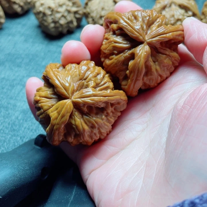 你***家手工三棱白狮子三棱