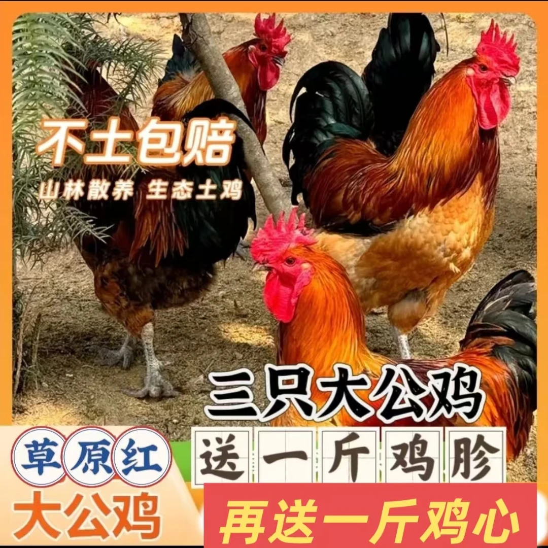 3只大公鸡共九斤