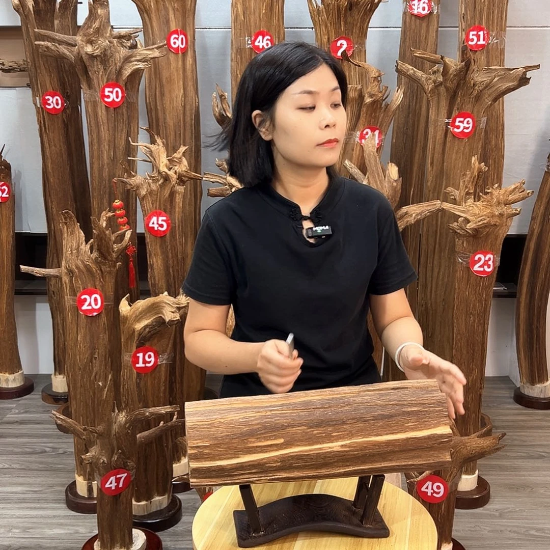 沉香沉香碎屑沉香