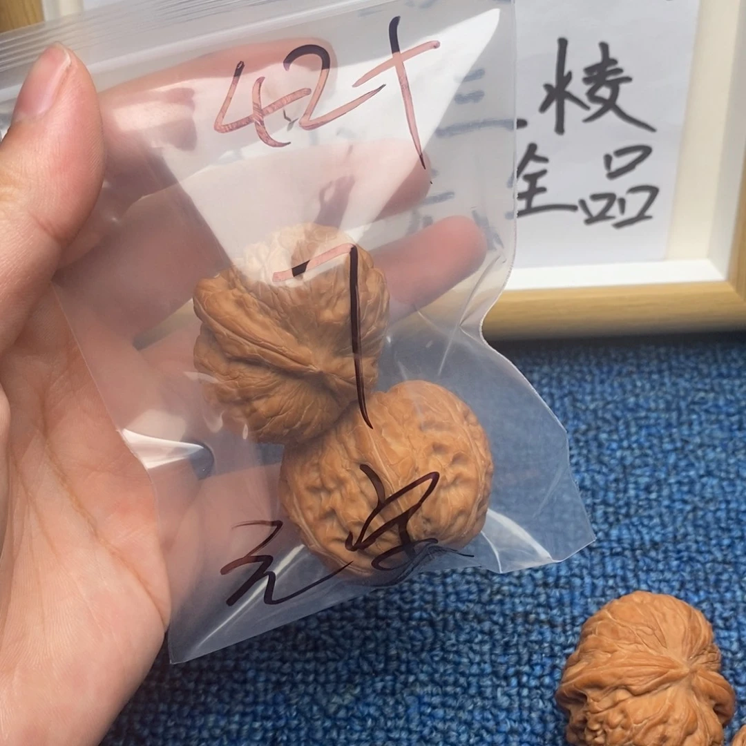 核桃哈哈哈哈哈哈哈哈哈哈哈哈哈哈哈