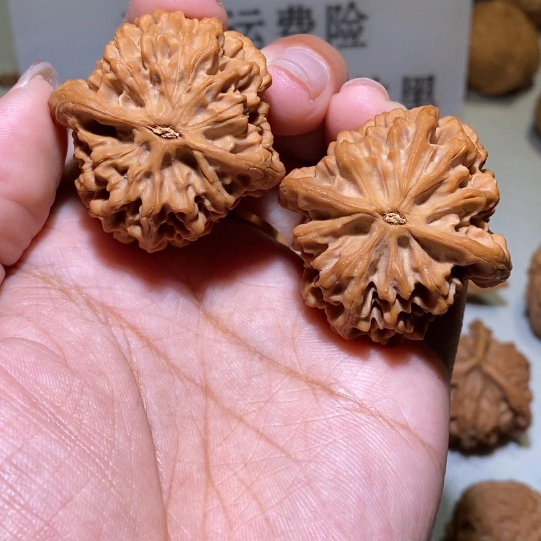 G***.手串/手链核桃亲们37