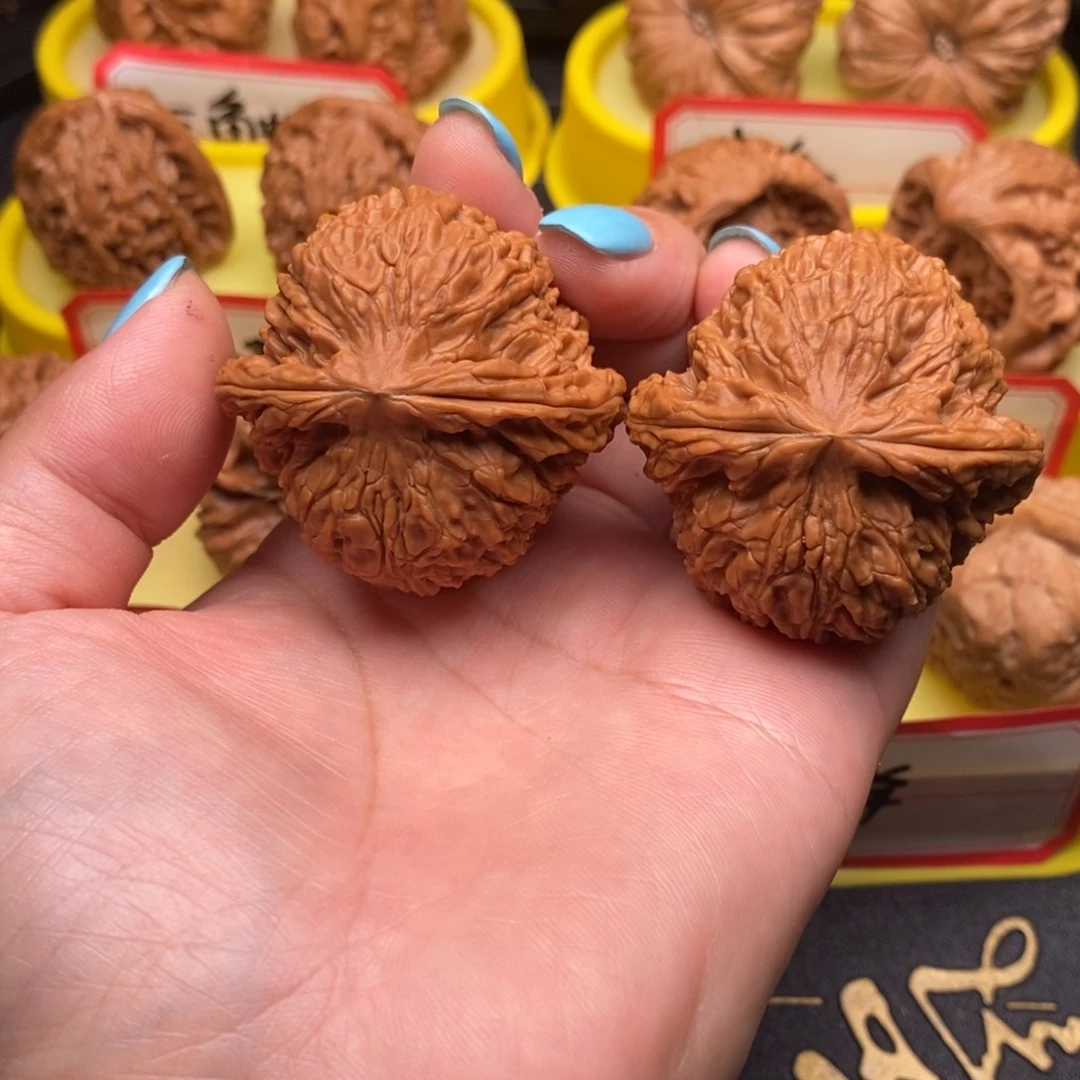 言***菩提籽类球疆疆疆