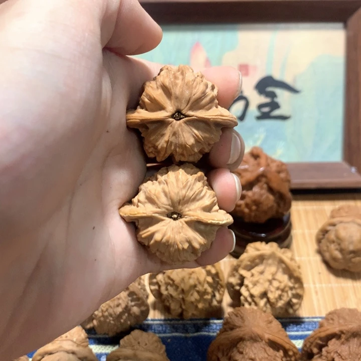 思***恩哈哈哈哈哈哈哈哈哈哈哈