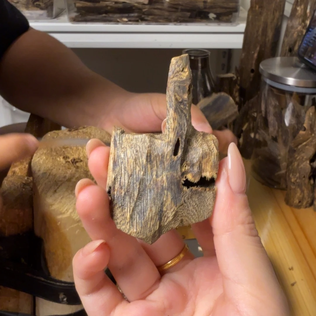 沉香白奇虫漏香6.8克