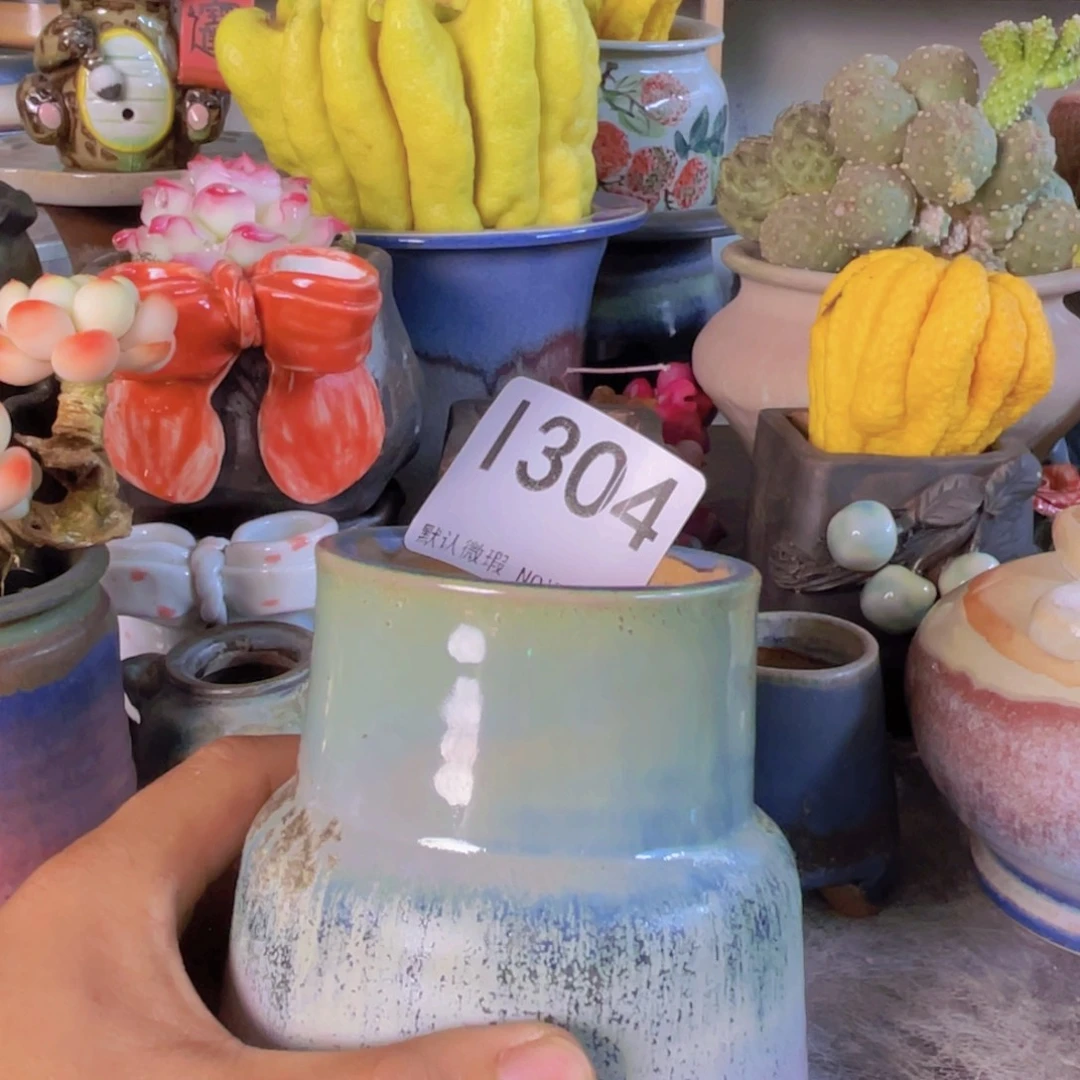 重庆小燕子欢迎大家304