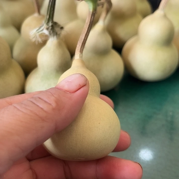 刚刚下架打皮？有批发的可以聊