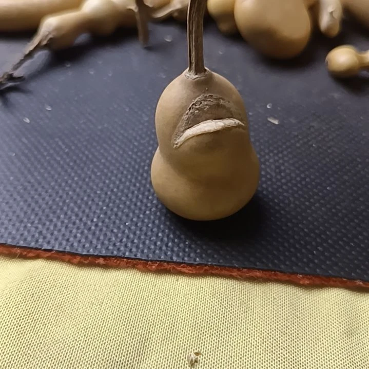 W****2全品无瑕厚皮葫芦