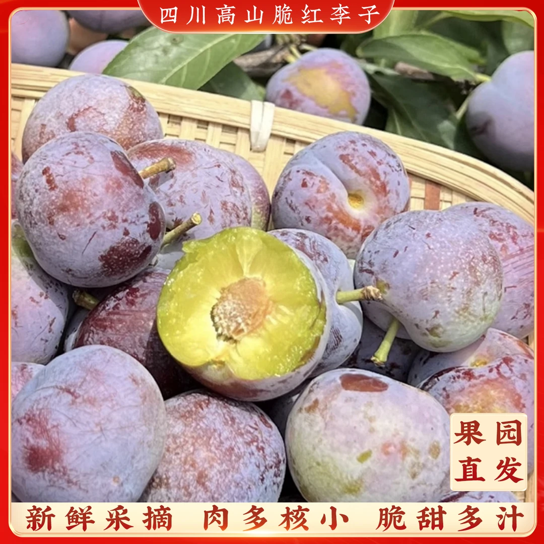 【京东包邮】正宗四川高山脆红李脱骨李子脆甜多汁家庭装新鲜水果！