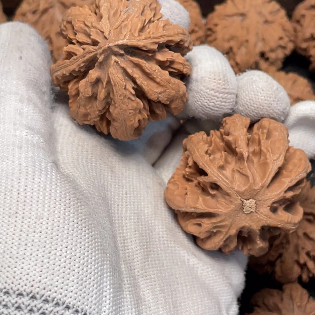 l***y桃核把件3秦岭灯笼野生小众