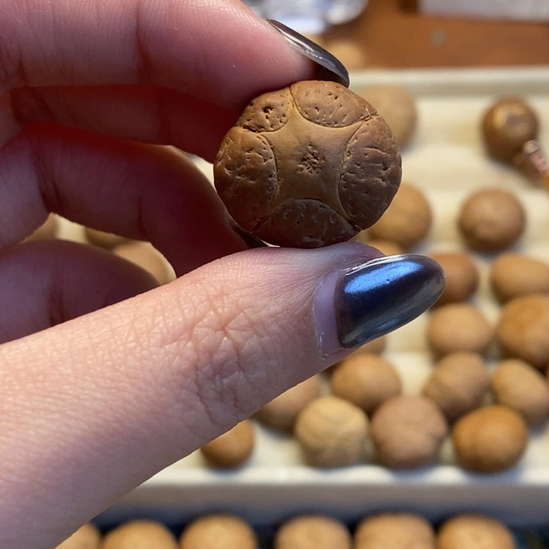 吊坠凤眼菩提五星