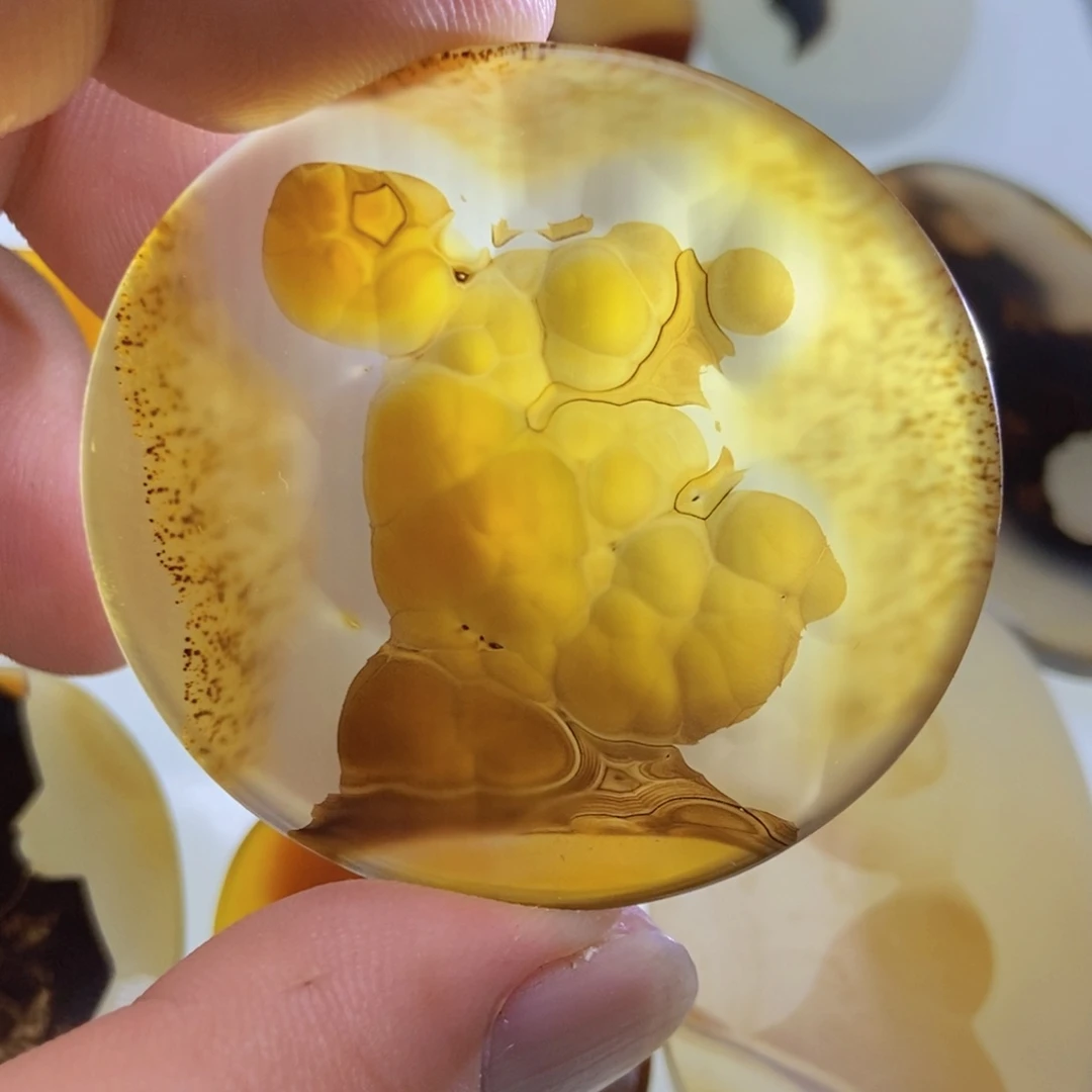 【闪购商品】未镶嵌颈饰玛瑙/玉髓林*红