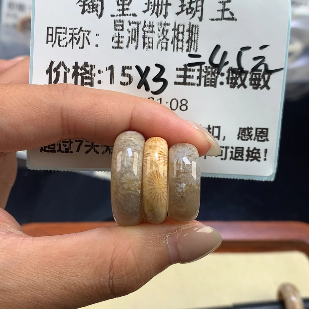 【闪购商品】硅化珊瑚（珊瑚玉）未镶嵌颈饰星****拥
