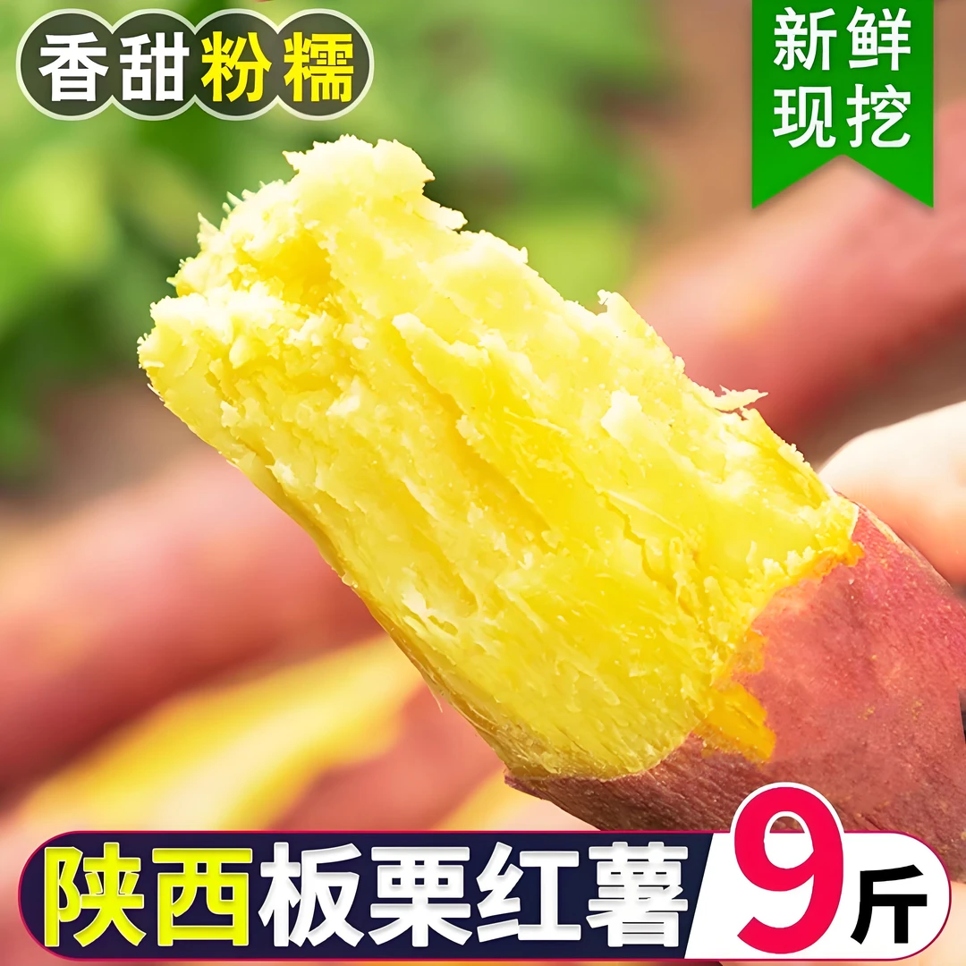 领田陕西板栗红薯9斤 新鲜板栗薯香糯烤地瓜沙地番薯香薯土特产