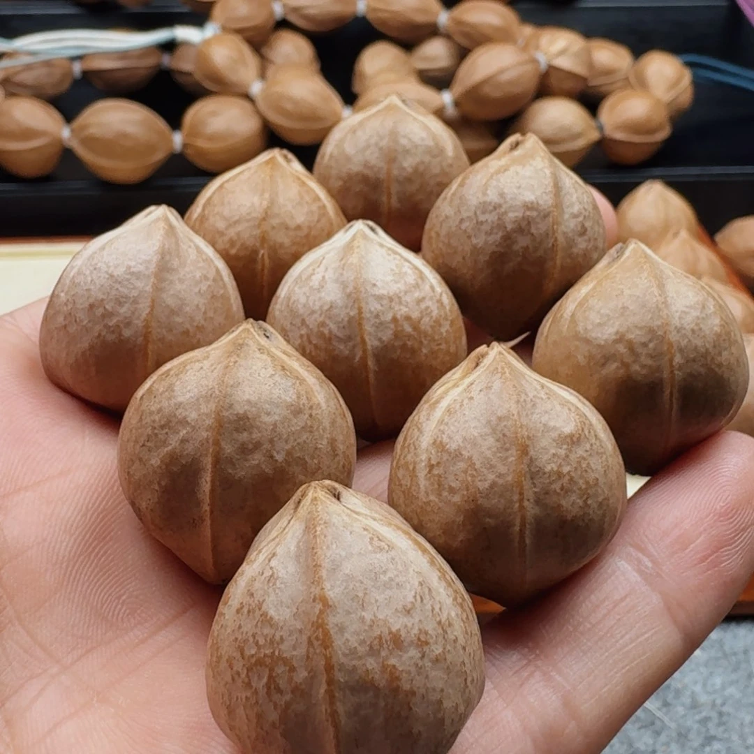 橄榄核手串/手链白*司22×25 梅林铁核