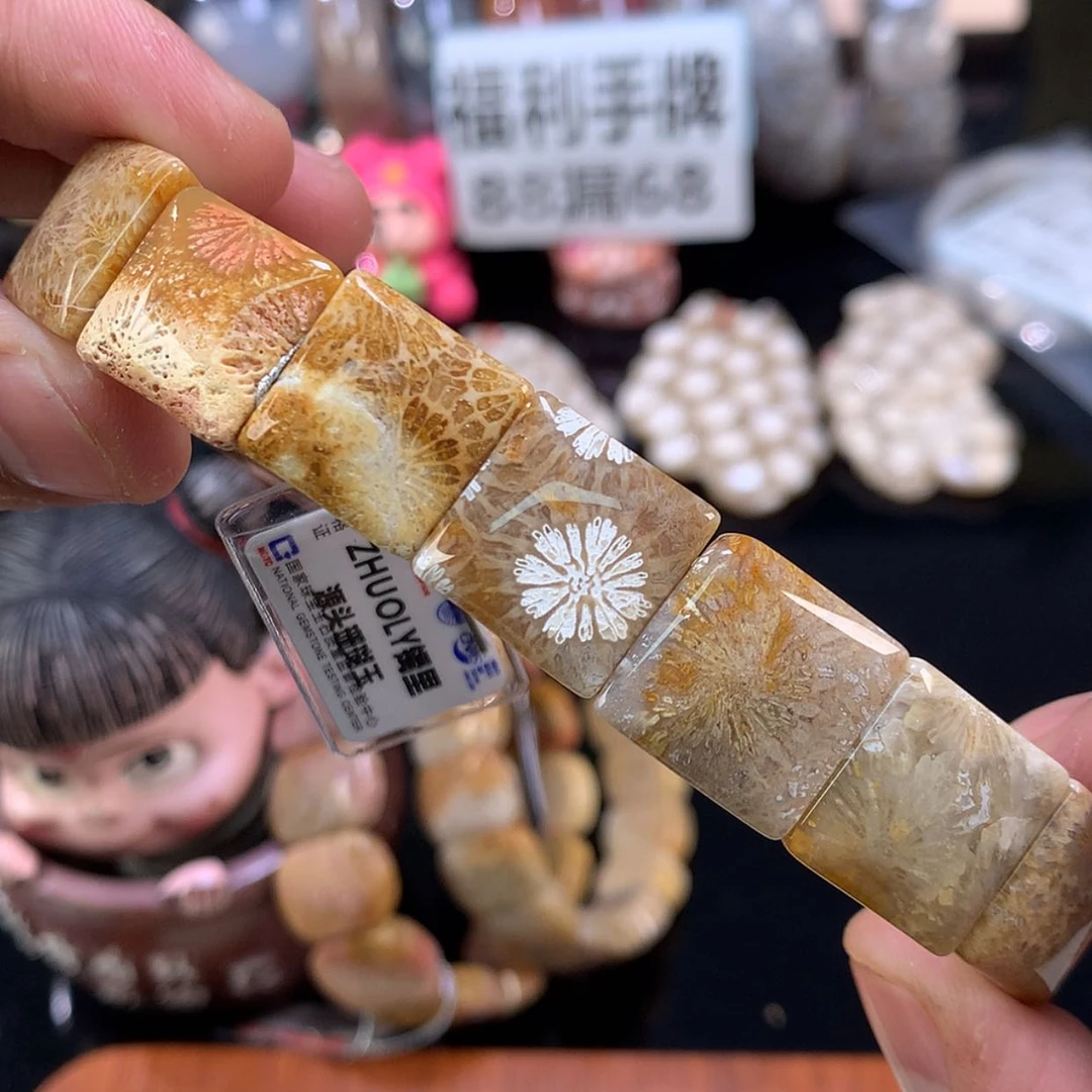 【闪购商品】颈饰未镶嵌硅化珊瑚（珊瑚玉）12号皮花花
