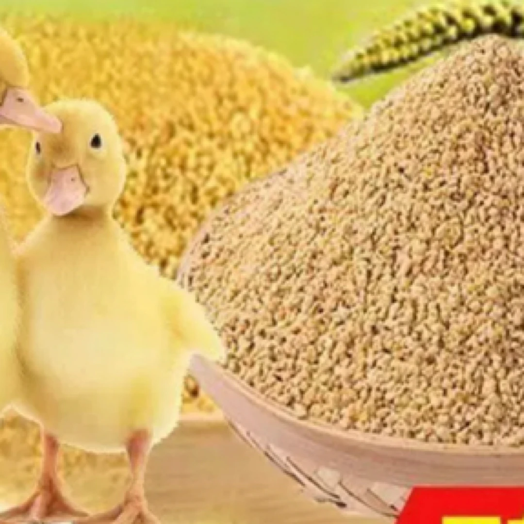 【小鸭爱吃的】幼雏专业对口烧烤食材鸭肉同城送