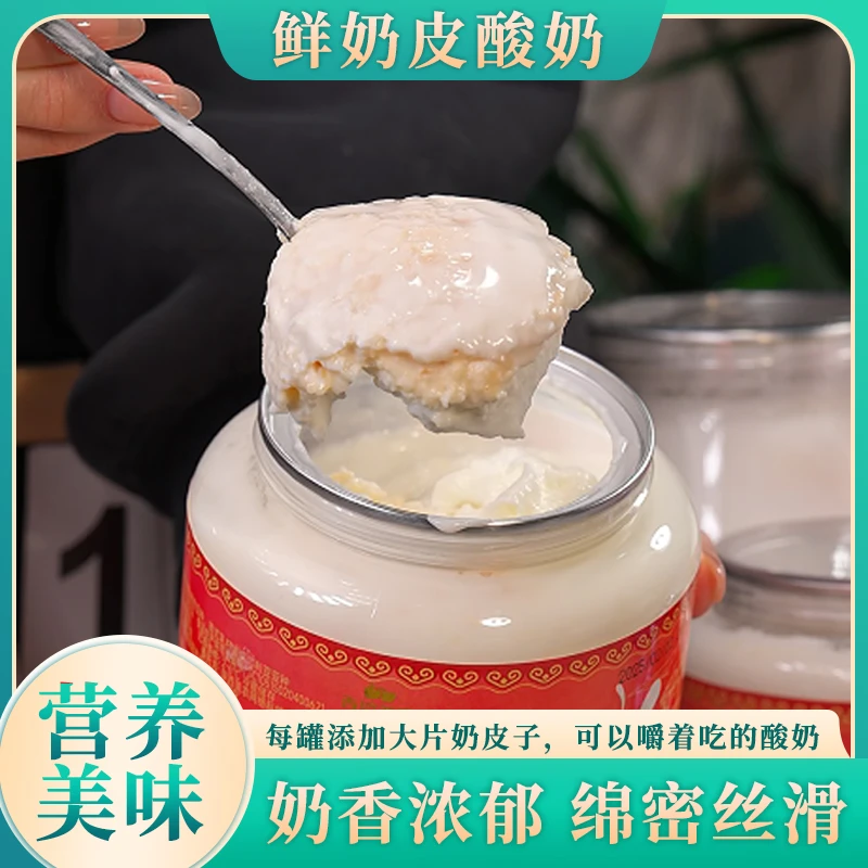 【顺丰/京东】鲜奶皮酸奶原味纯手工老酸奶酪内蒙古特产奶皮子酸奶