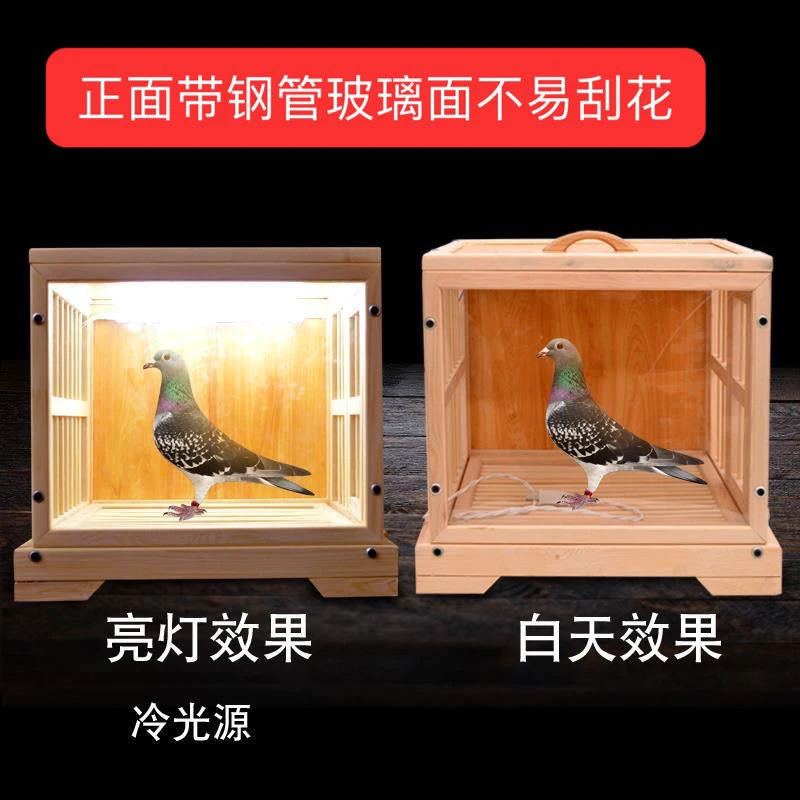 精美带照明功能鸽子专用实木展示笼适合信鸽直播展示
