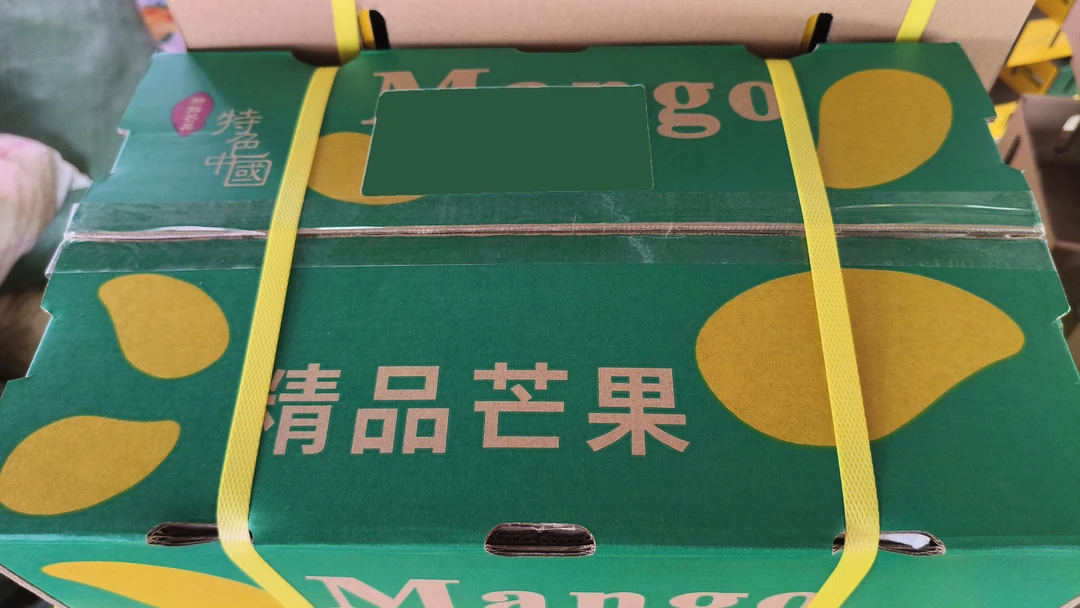 广西百色桂七香芒新鲜应季现摘水果礼盒(花皮桂七)百色芒果椰香