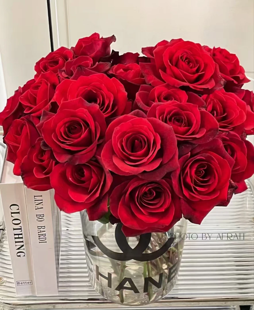 赤子之心玫瑰）单头玫瑰 云南鲜花基地直发