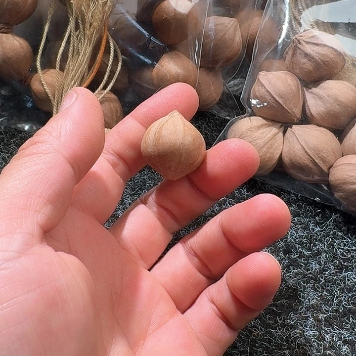 吊坠橄榄核2.3❌2.7