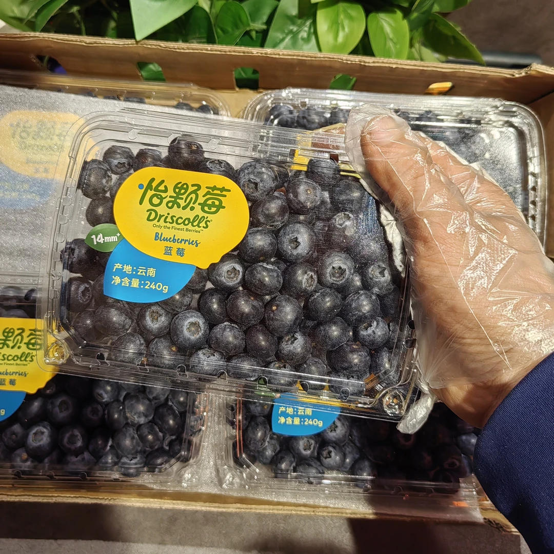 怡颗莓蓝莓，脆甜14mm果径，花香十足，28一盒（240克）云南省