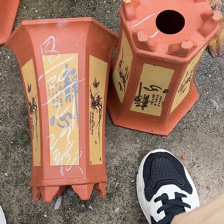 11号…………………………………………………………