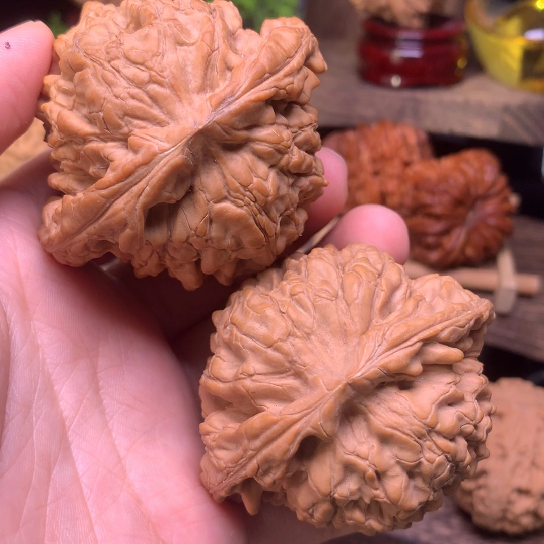文玩核桃把件58龙鼎全品