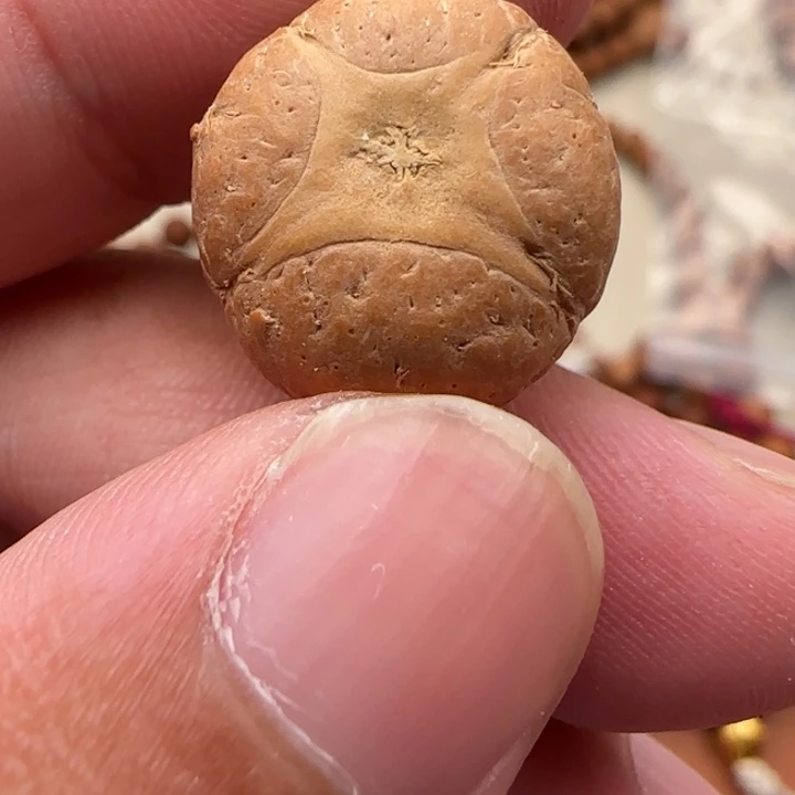 凤眼菩提吊坠尼泊尔19.4