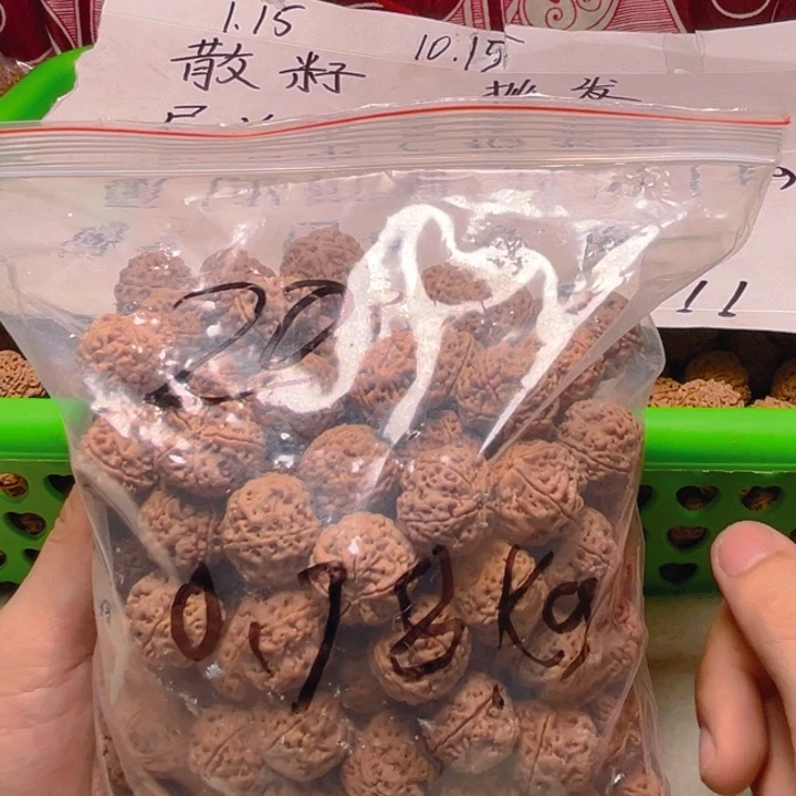 金刚菩提手串终结者散籽主力20