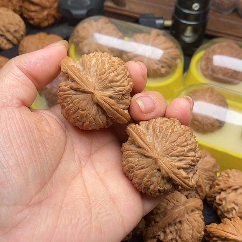 【闪购商品】桃核把件白狮子头47加