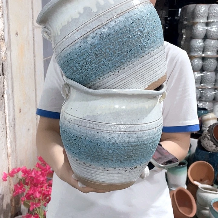 红陶正品高20/20