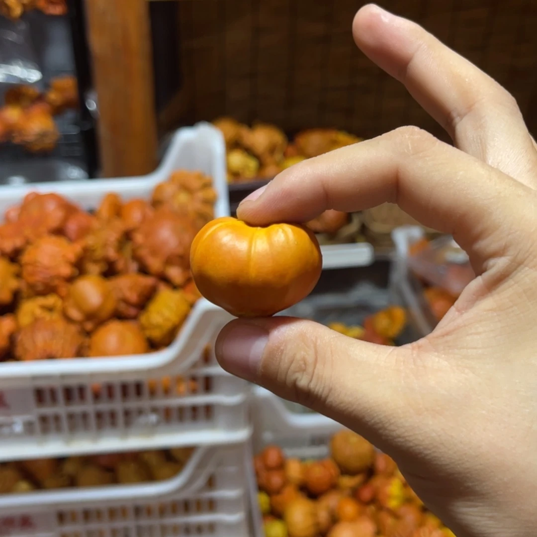流**9哈喽哈喽哈喽哈喽好看葫芦