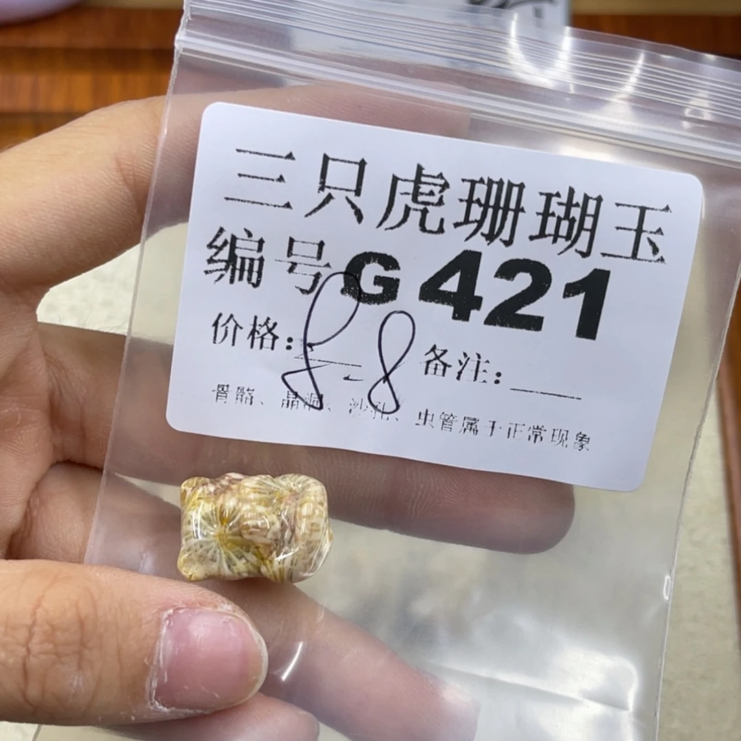 行***知硅化珊瑚（珊瑚玉）未镶嵌h