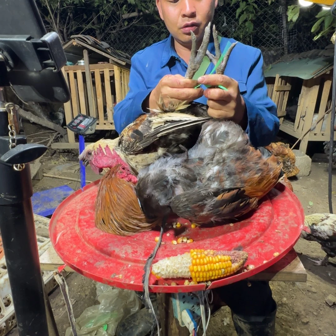 062！063中国大陆包装