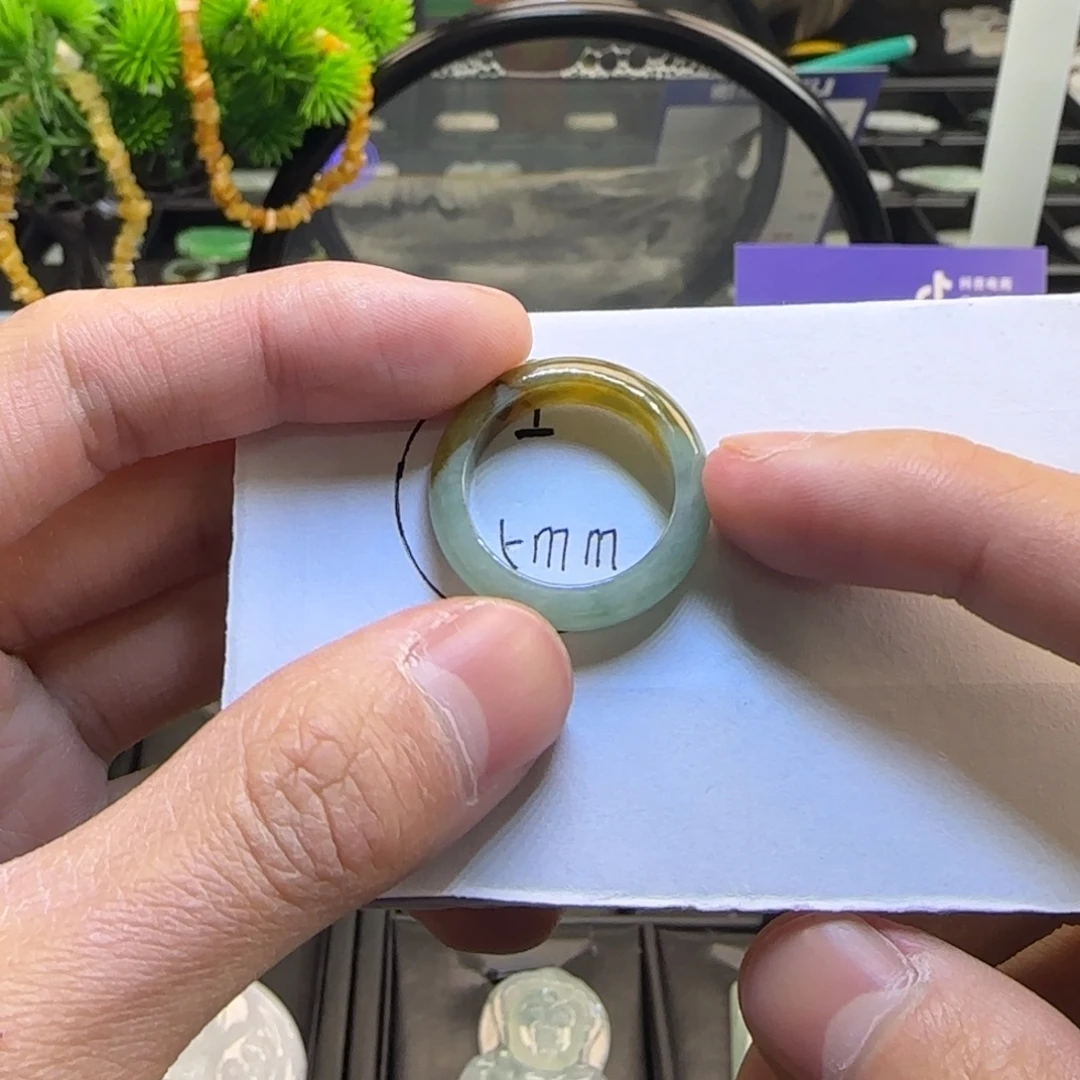 翡翠未镶嵌项圈天然缅甸A货翡翠