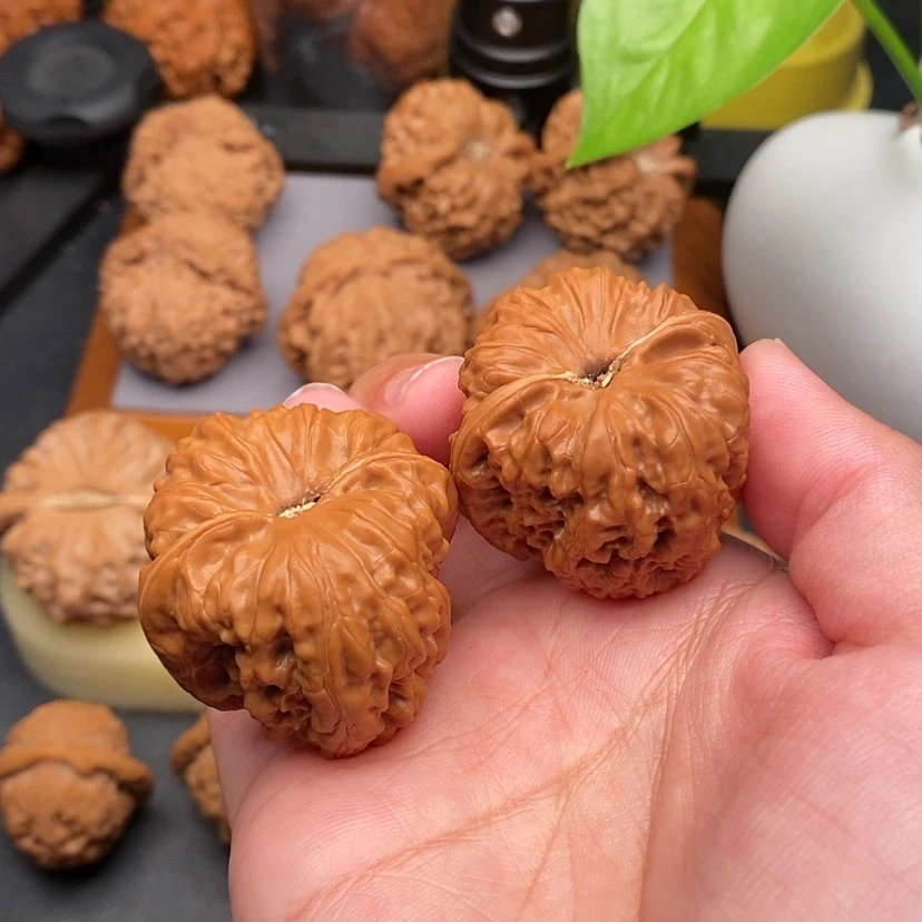 【闪购商品】文玩核桃把件聚宝盆全品36
